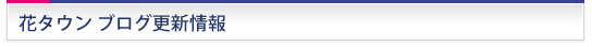 タウンブログ　更新情報